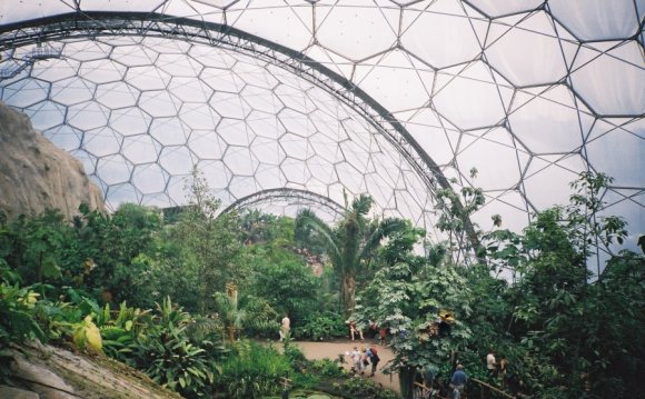 Inside the tropical Biome