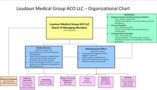ACO org chart
