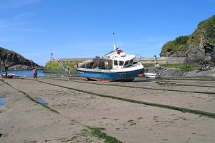 seashore at Port Isaac, Cornwall