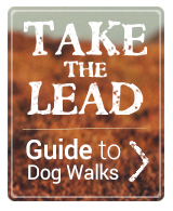 Follow this link to consult with our guide of good puppy Walks in the UK