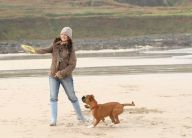 puppy friendly cottages