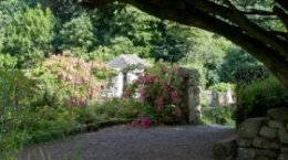 Gardens & reasons of Godolphin home,  Cornwall © Mike Henton