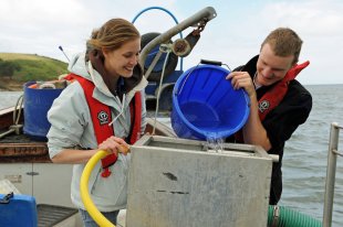 lobster-tube-release