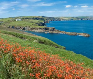 North Cornwall Coast route Port Isaac area regarding British's longest hiking and trekking path