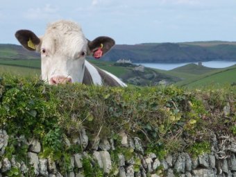 phoca thumb l p1070738