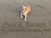 Self catering Dog friendly Cornwall