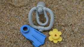 (Tracey Williams/Facebook)