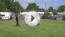 The Devon & Cornwall Police puppies at the Devon County Show